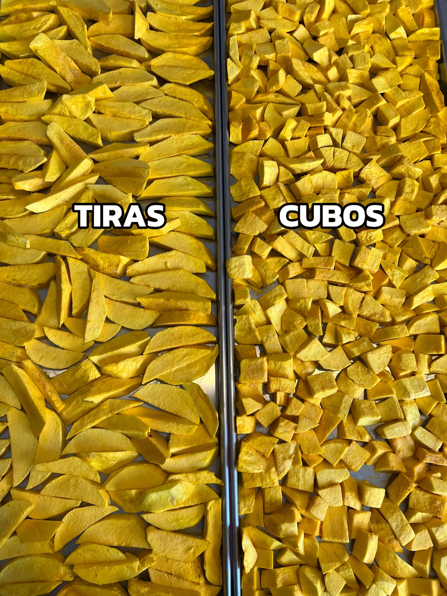 MANGO LIOFILIZADO